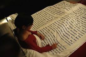 Leer novelas o leer para aprender, esa es la cuesti&oacute;n